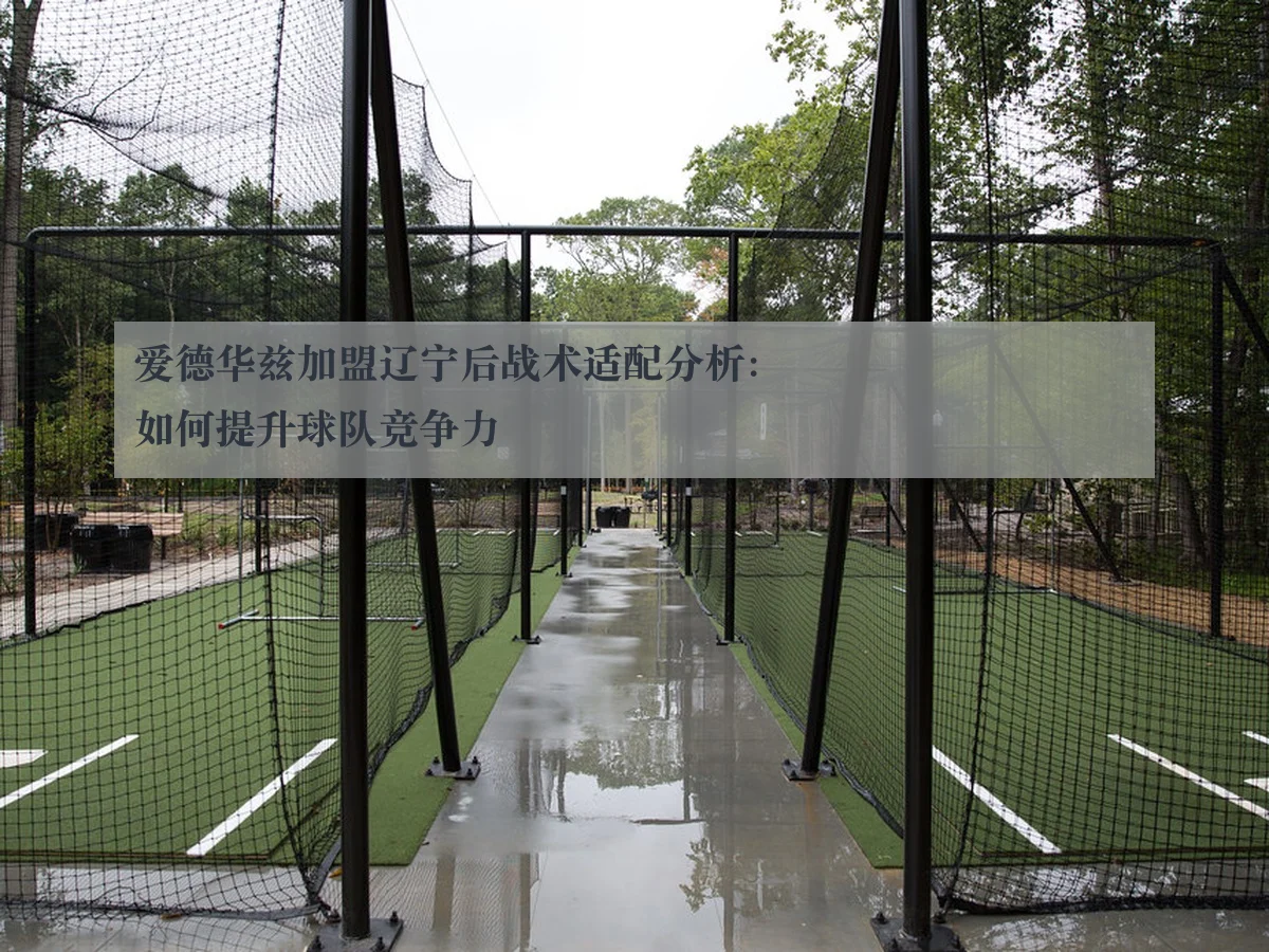 爱德华兹加盟辽宁后战术适配分析：如何提升球队竞争力
